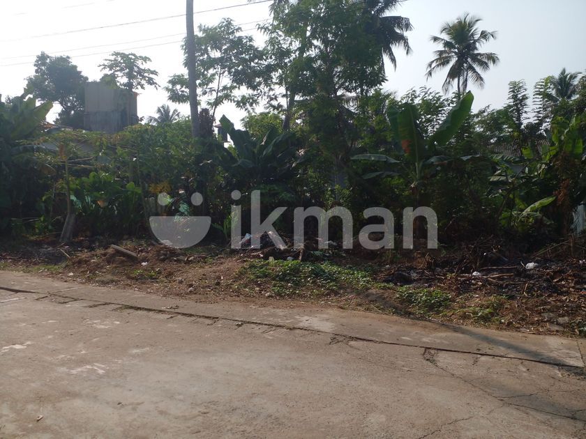 P Land For Sale In Gangarama Road Boralesgamuwa Sl Ikman