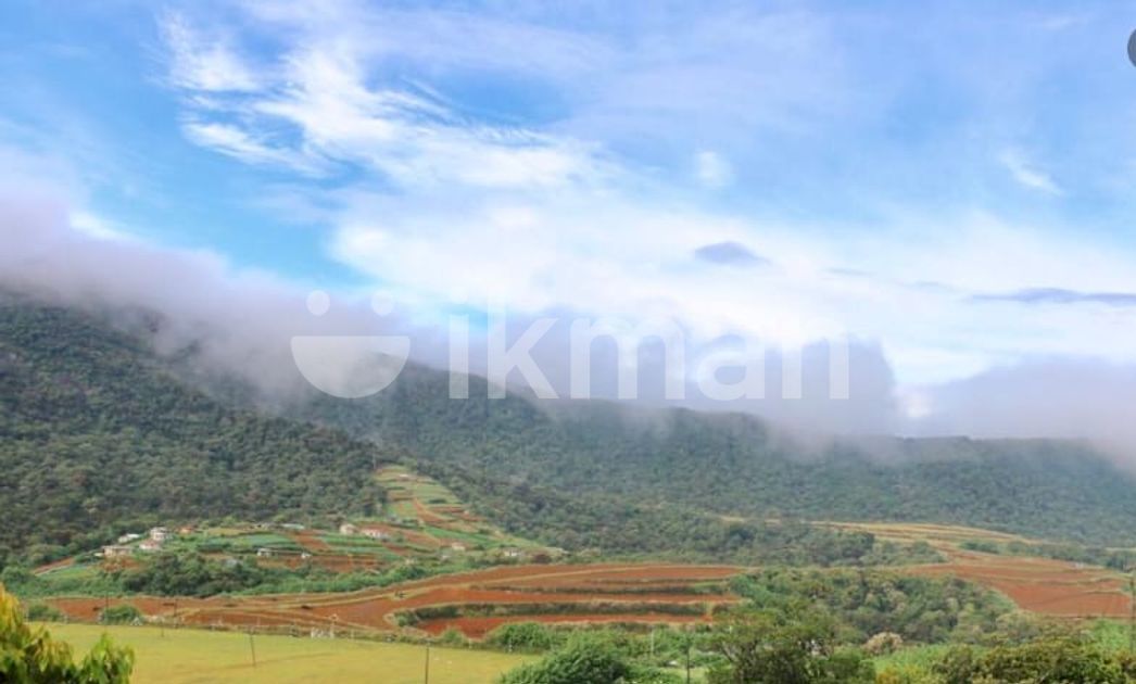 Ambewela Land Of Sale Nuwaraeliya Ikman