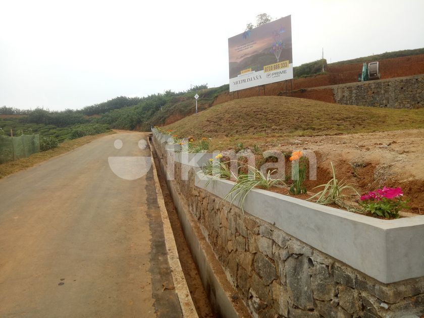 Land For Sale Ambewela Horton Plains Road Ikman