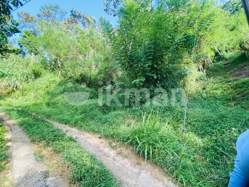 Land For Sale In Balangoda Ikman