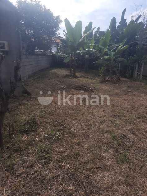 Land For Sale In Boralesgamuwa Abillawatta Ikman