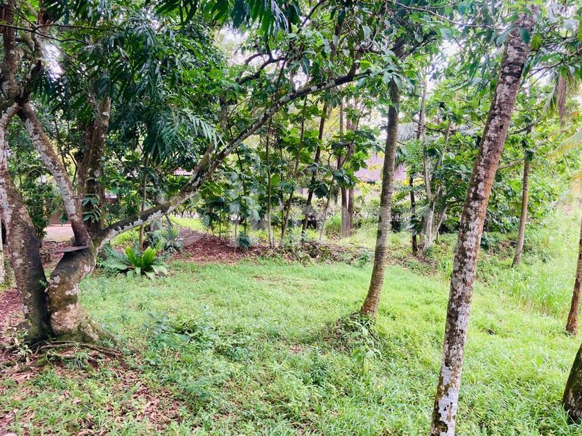 Land For Sale In Malabe Ikman