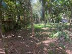 Land For Sale In Piliyandala Ikman