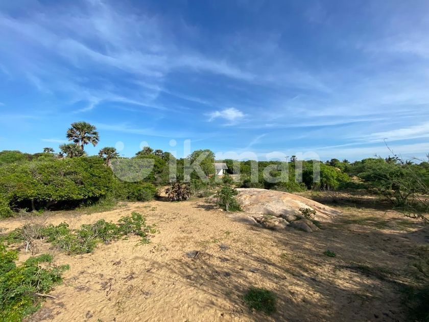 Piliyandala Beach Facing Land For Sale Ikman