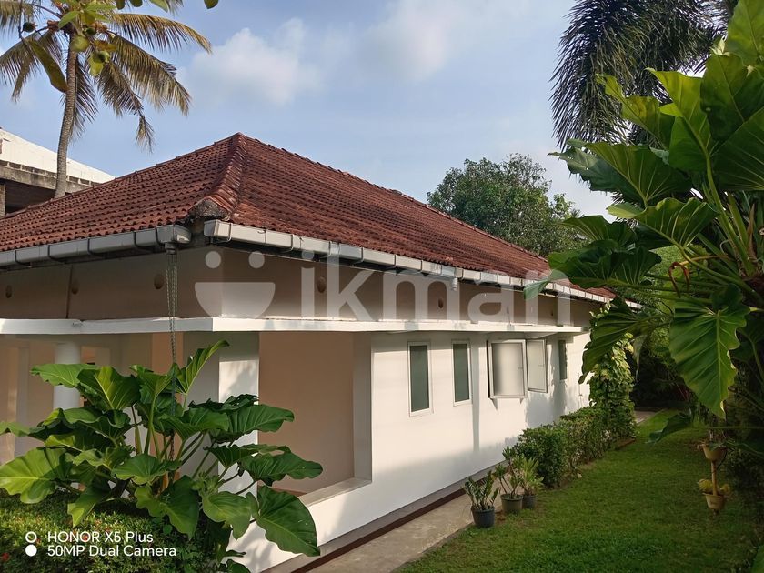 Spacious Single Story House For Rent In Mount Lavinia Ikman