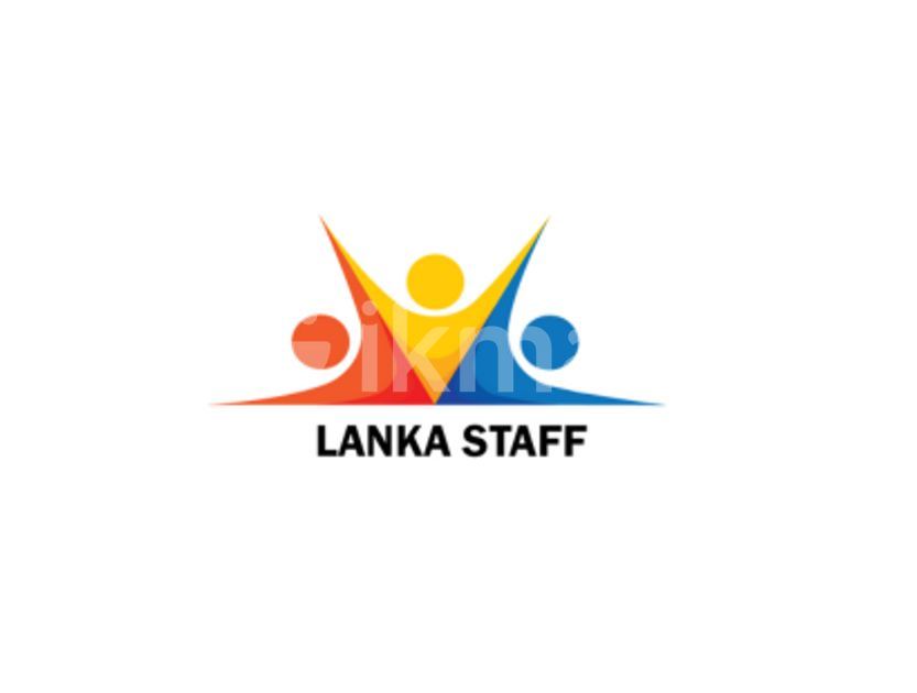 Digital Marketing Executive Vacancy Colombo Ikmanjobs