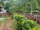 02 Acers & 39 Perches Tea Estate for immediate Sale in Kosgama. PCCC-A3