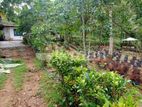 02 Acers & 39 Perches Tea Estate for immediate Sale in Kosgama. PCCC-A3