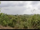 03 Acres of Coconut Land for Sale in Tangalle