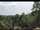 03 Acres of Coconut Land for Sale in Tangalle