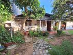 03 Bedroom House For Sale Sri Dharmarama Road,Rathmalana (NK974)