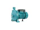 0.5HP CPM 130 Pressure Pump