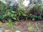07 Perch Bare Land for Sale in Nugegoda CVVV –A1