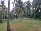 Land for Sale Katunayake