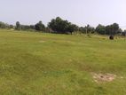 Arugambuy Land for Sale
