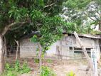 Vavuniya Land for Sale