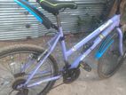 Mountain Bicycle