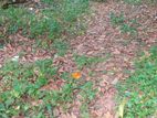 08 Perch Bare Land for Sale in Nugegoda – Gamshabaha CVVV –A1