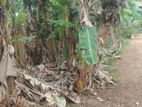08 Perches Land For Sale in Godagama (SSPL-418)