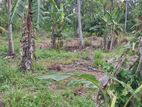 1 1/2 Acres for Sale in Mirigama