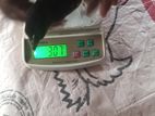 1 1/2 மாத கோழி குஞ்சு