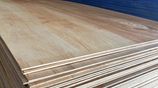 1/4" High Quality Plywood Boards Available for Partitons 8' x 4' 6mm