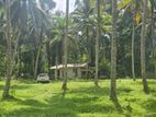 1 Acer Land for Sale in Horana Ingiriya