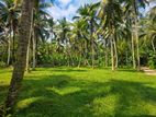 1 Acer Land for Sale in Horana Ingiriya