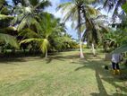 1 Acre Highly Residential location bare Land in Ja Ela