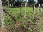 1 Acre House for Sale Vavuniya
