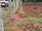 Land with House for Rent Vavuniya