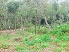 1 acre Land dor Sale Kandy
