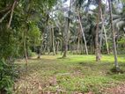 1 Acre Land for Sale in Ahugammana, Delgoda