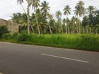 1 Acre Land for Sale in Wennapuwa