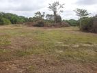 1 Acre Sinnakkara Land for Sale - Ehetuwewa