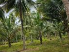1 Acres Land For Sale Kubalgoda Hakmana