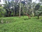 1 Acres of Land for Sale in Ahugammana Delgoda