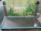 1 Feet Tank