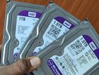 WD 1TB Hard Drive