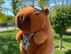 1 Pcs Capybara Soft Toy Acd8 - 6 Teddy Bear
