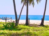 10 Acre Beach Land for Sale - Pasikuda Sri lanka