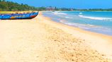 10 Acre Beach Land for Sale - Pasikuda Sri lanka