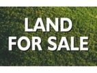 10 / 20 Perch Land For Sale in Ratmalana. CGGG-A1