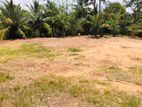 10 Acars Commercial Land in Katunayaka