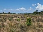 10 Acre Land for Sale Jaffna