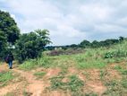 10 Acres Bare Land for Sale in Anamaduwa