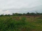 10 Acres Bare Land for Sale in Katunayake