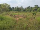 10 Acres Bare Land For Sale Kurunegala
