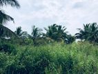 10 Acres Coconut Land for Sale in Paniyamaduwa