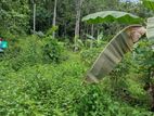 10 acres LAND For SALE in DEHIOVITA Atulugama